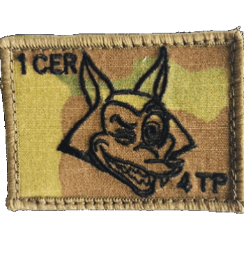 1 CER 4 Troop badge